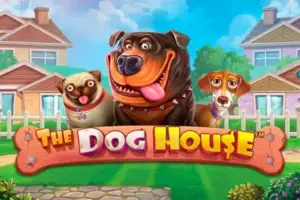 The dog house играть бесплатно